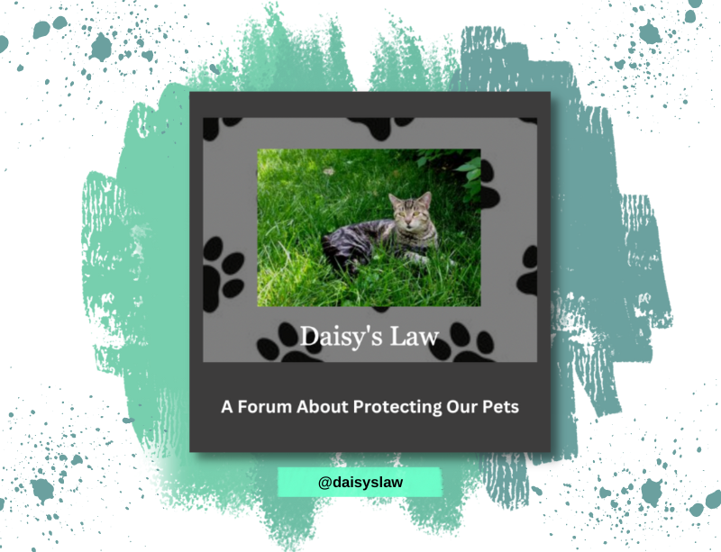 DaisysLaw Pet Forum