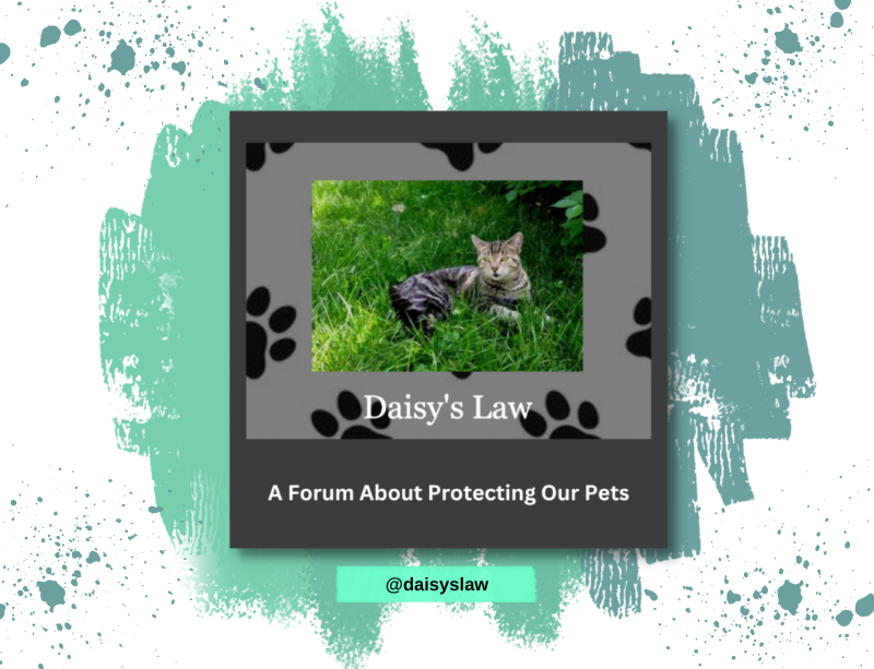 DaisysLaw Link DaisysLaw Pet Forum